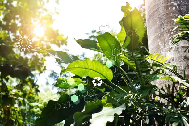 Интернет вещей